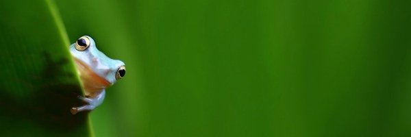 ClimateCmpanion Profile Banner