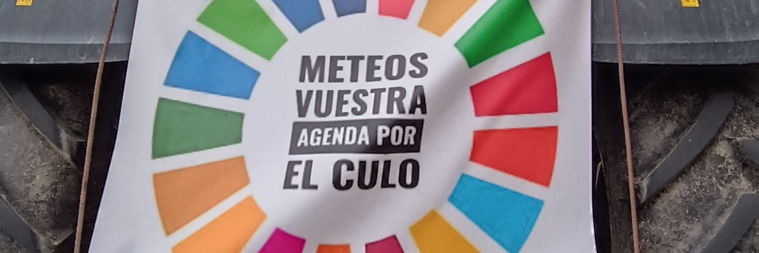 𝐌𝐨𝐧𝐢 🍀 𝐋𝐢𝐬𝐚 banner