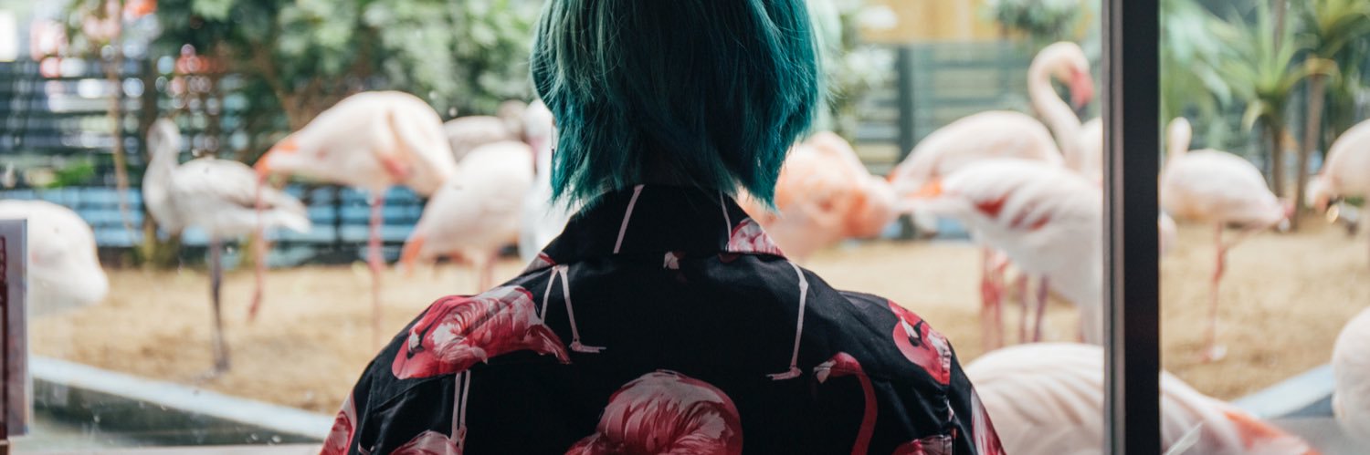 天蓋/10🐼 banner