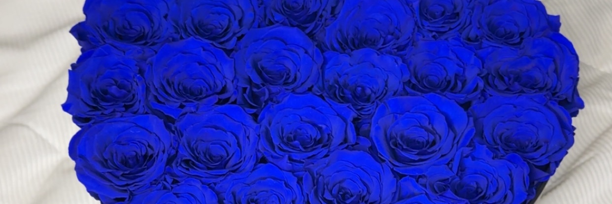 fallforjelly's profile banner image