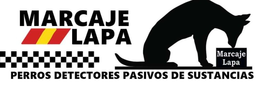 LapaMarcaje's profile banner image