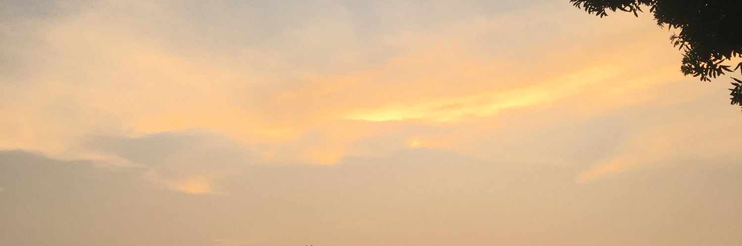 joajohnson's profile banner image