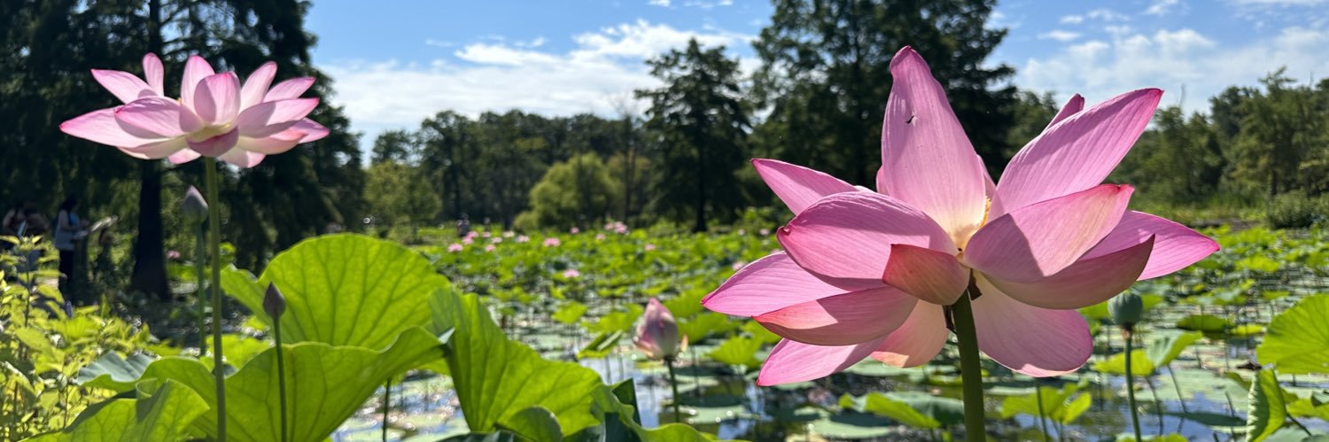 𝙑𝙞𝙩𝙖𝙨𝙩𝙖 banner