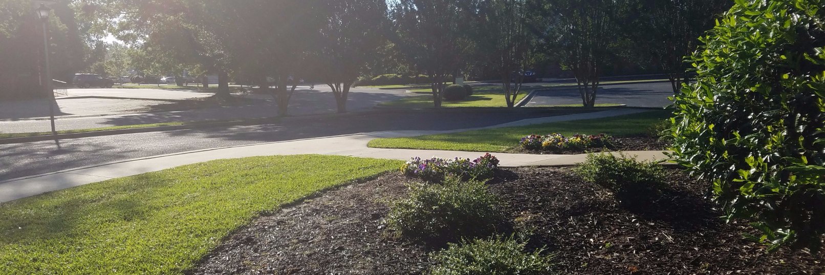 Davis Orthodontics banner