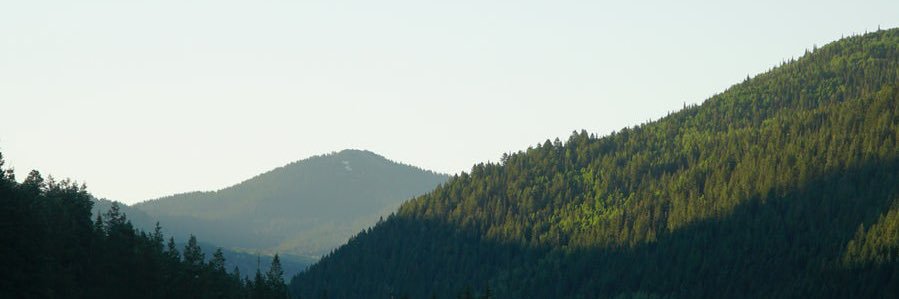 hannahFlippen's profile banner image