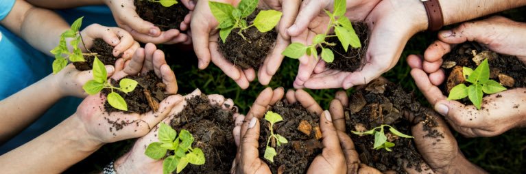 Eugenes Fernandez banner