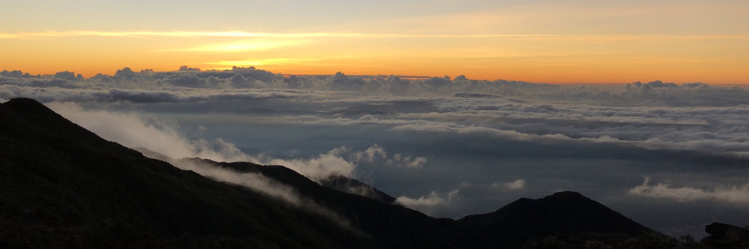 Emiliana Duarte banner