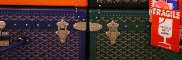 Sarafleee Profile Banner