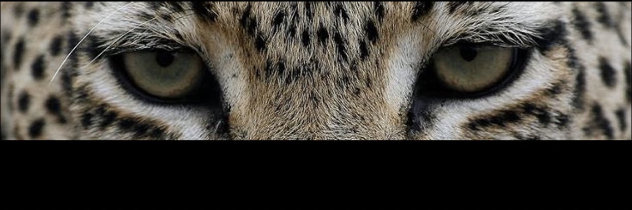 _lxlq's profile banner image