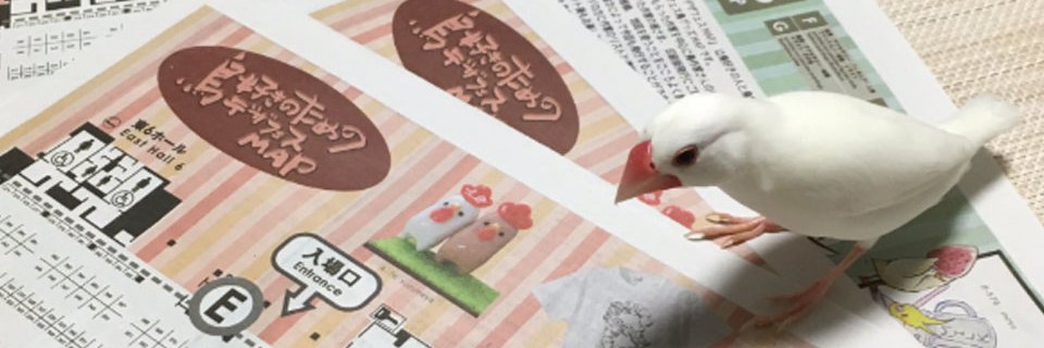 かのえ@月の魚 banner