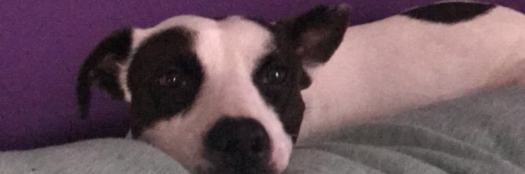aimlesspeters's profile banner image