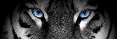 Christoper_19's profile banner image