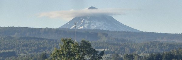 hortelanalana Profile Banner