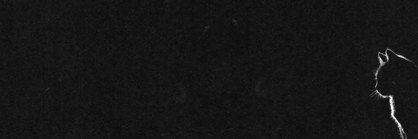 jelzon's profile banner image