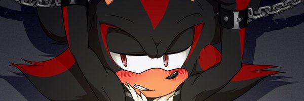 HedgehogShadow7 Profile Banner
