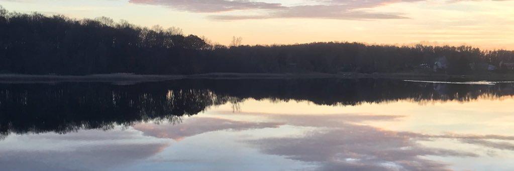 docbasset's profile banner image