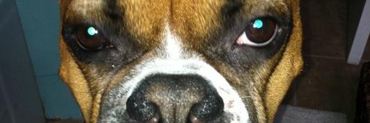 JB4tes's profile banner image