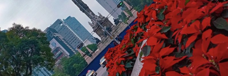 mudubina's profile banner image