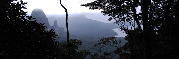 brbbfreitas Profile Banner