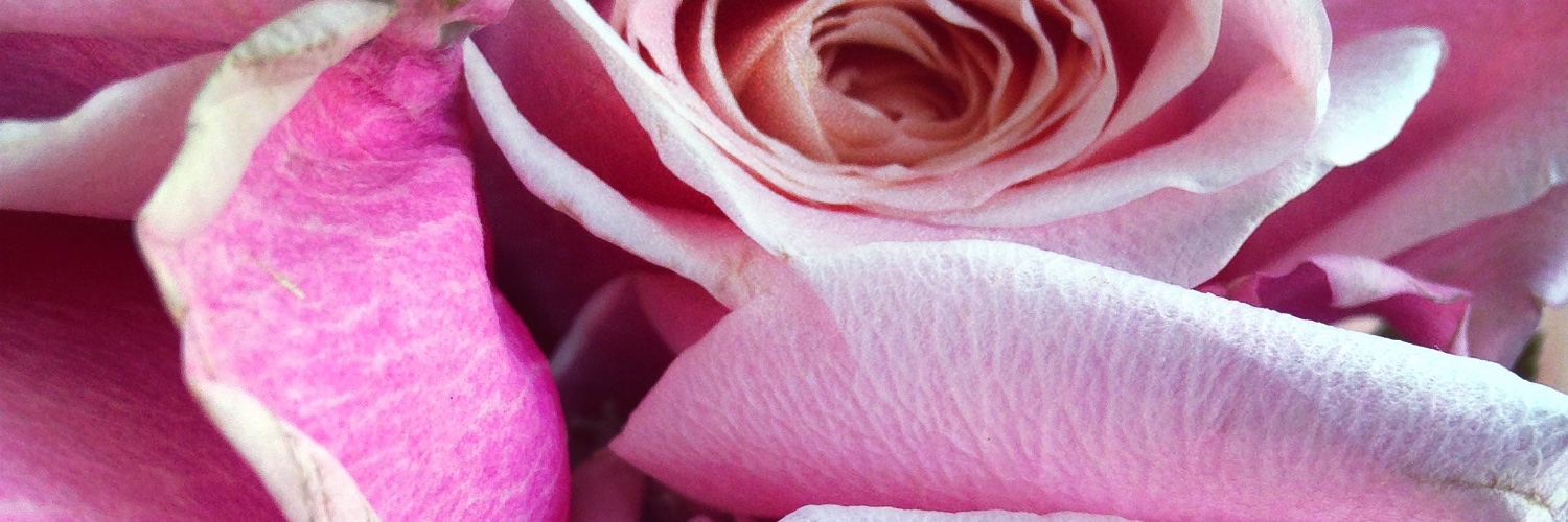 MxRosey_'s profile banner image