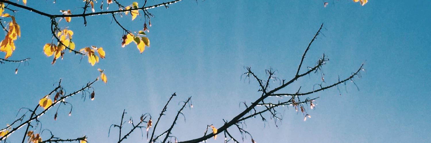 elenlenlen's profile banner image