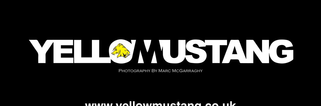 Marc McGarraghy banner