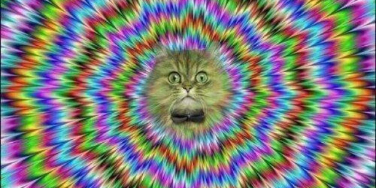 Dylan_Deez's profile banner image