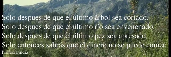 licea_flor's profile banner image
