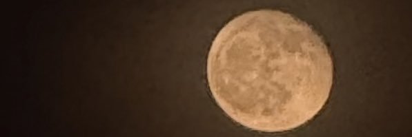 _vivw's profile banner image