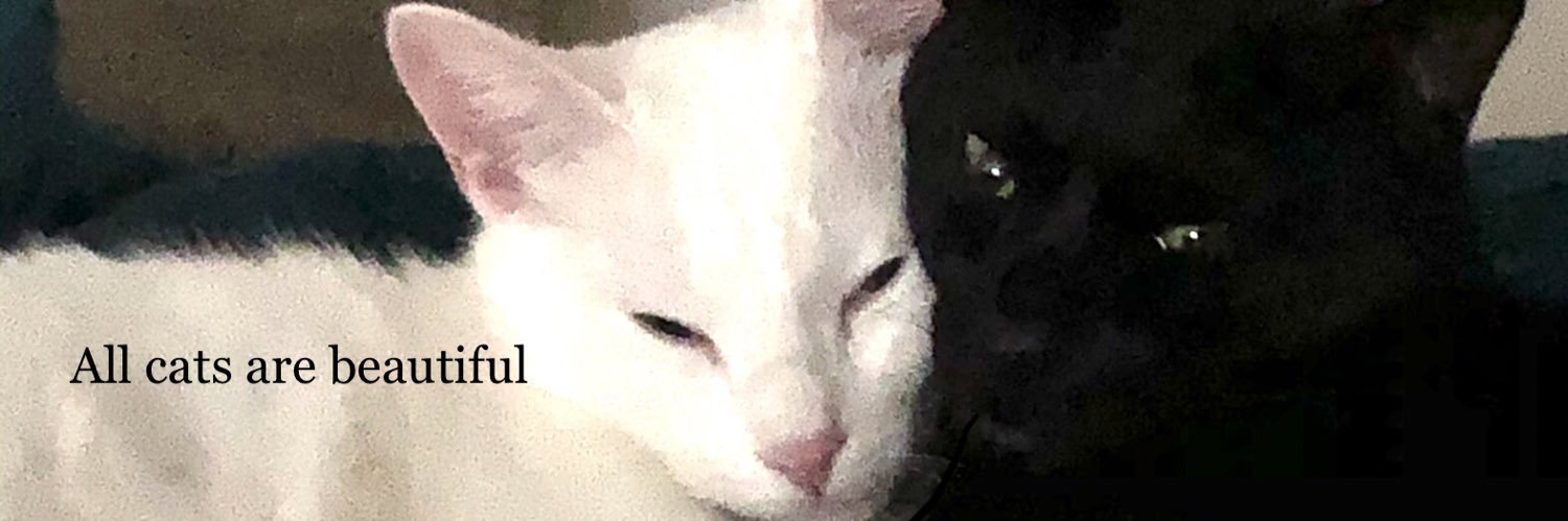 MChaoz's profile banner image