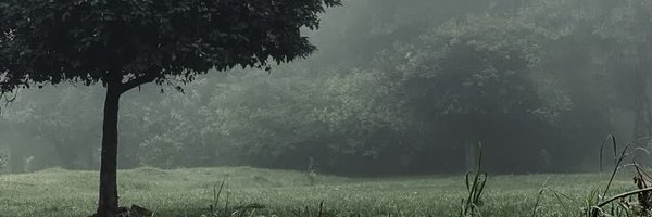 eddie Profile Banner