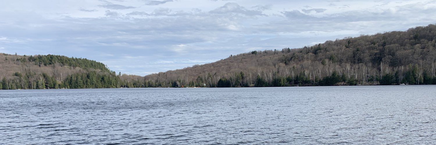 Ron Rolfe banner