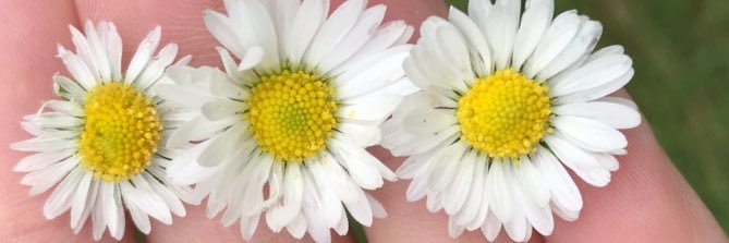 AlwaysAllixo's profile banner image
