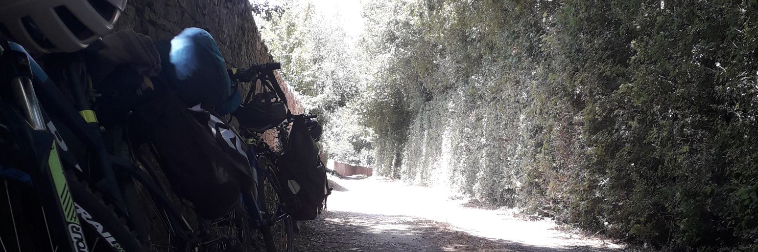 JedanRomanoff's profile banner image