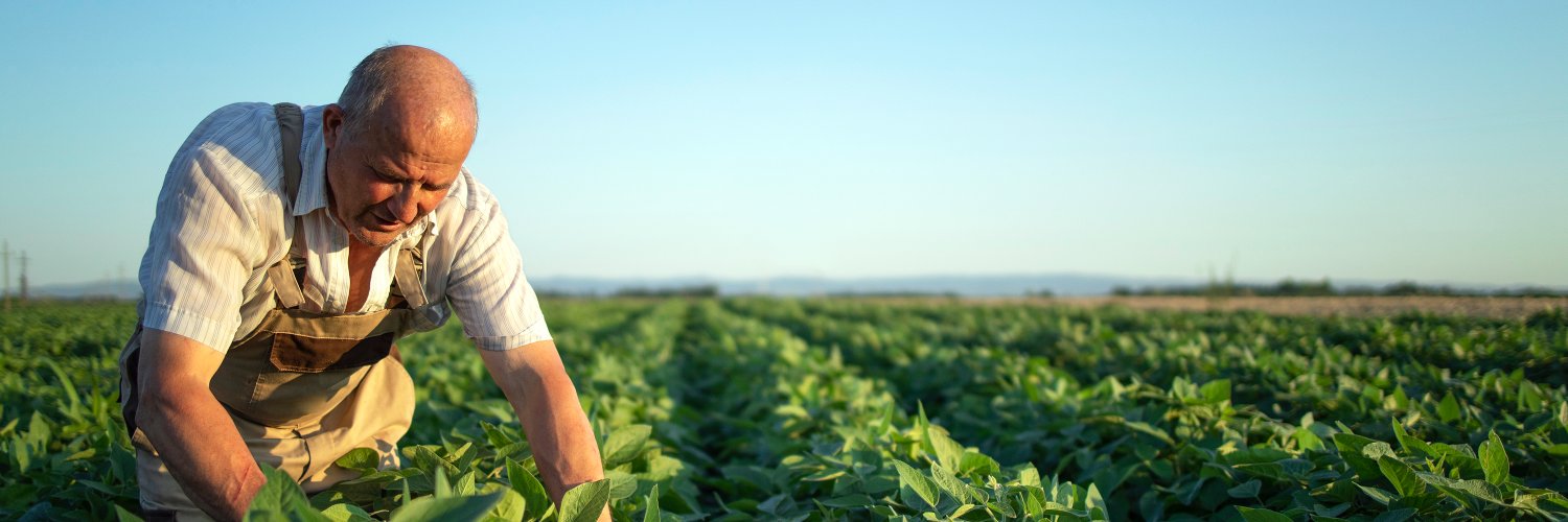 agrovisionprof's profile banner image