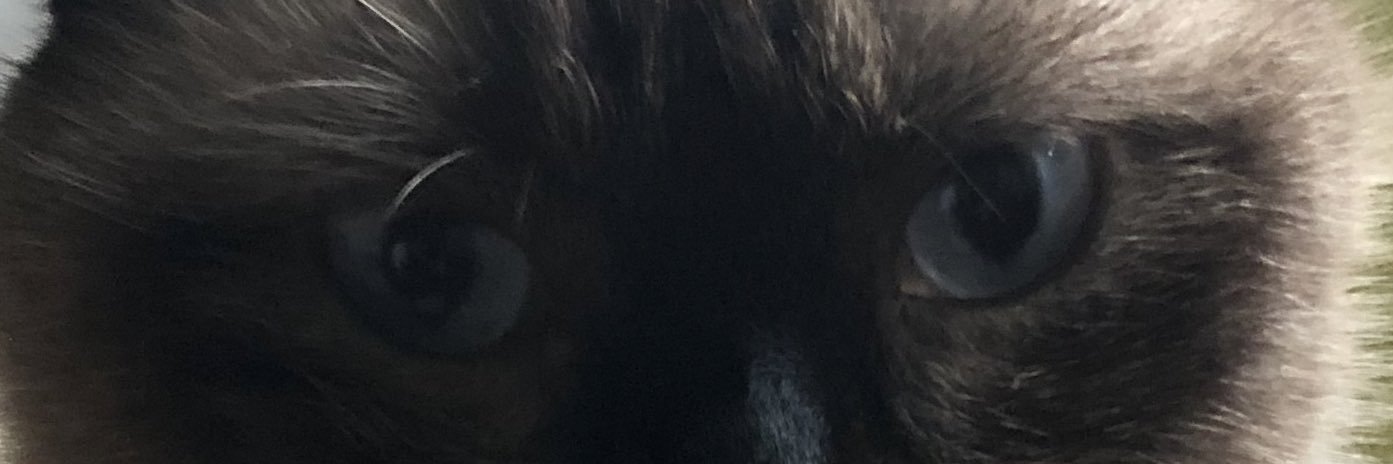 MonaLoVerse's profile banner image