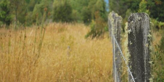 setnox's profile banner image