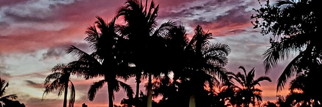 Gray Matter Matters 🗽⚖️ banner