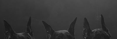 ᅠᅠᅠᅠᅠ𝗘𝗭𝗥𝗔ᅠ banner