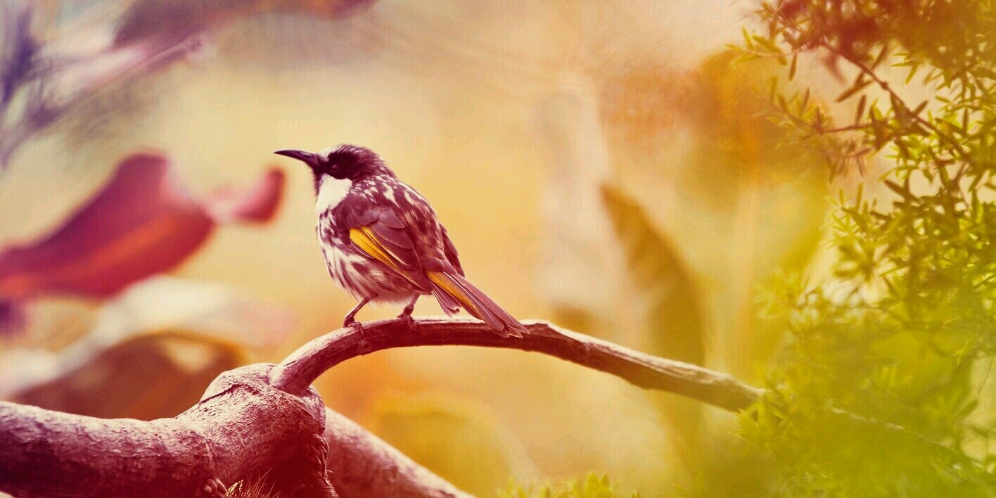manukriya's profile banner image