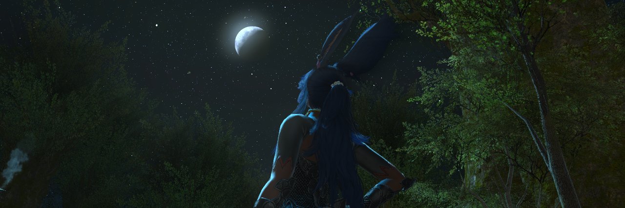 CeruleanDraco's profile banner image