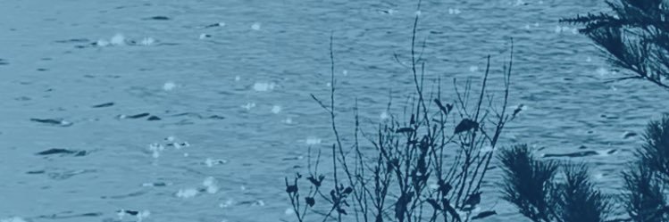 writesmanaged's profile banner image