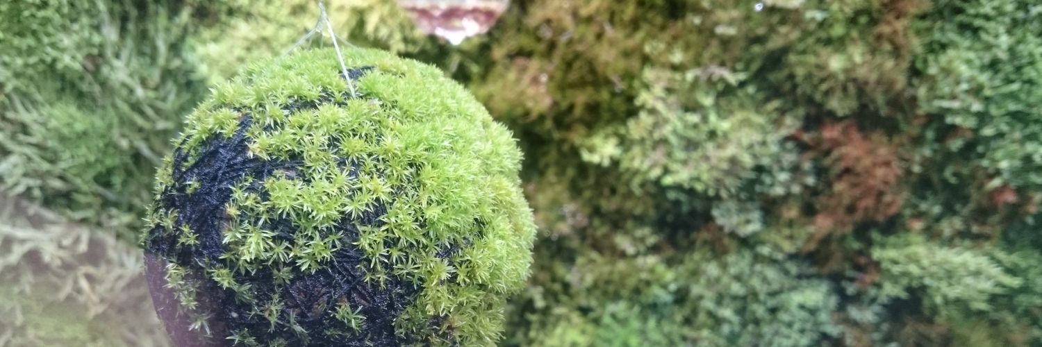 nihau2's profile banner image
