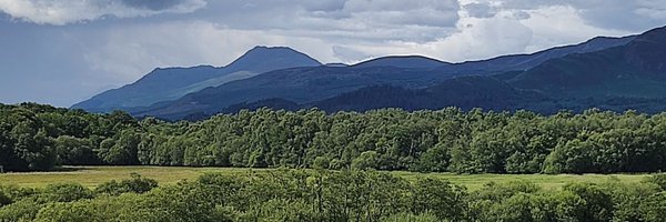 AlisonDoig Profile Banner