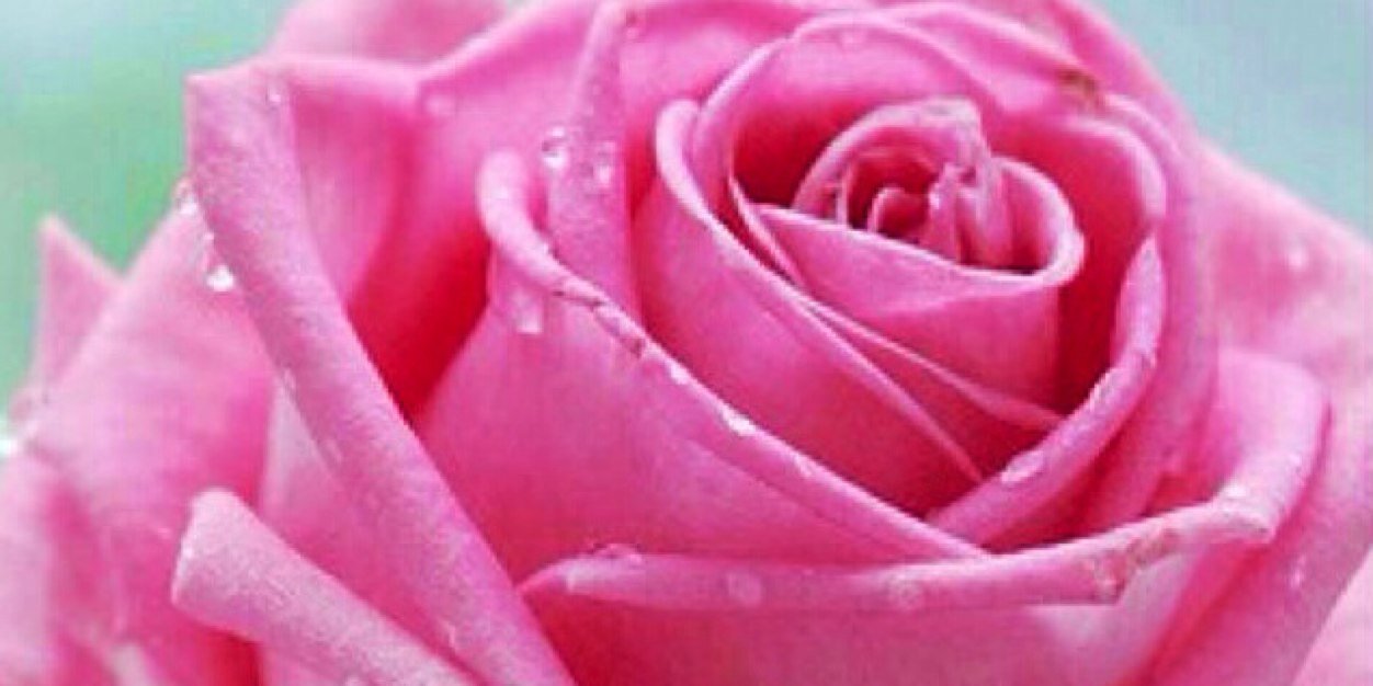 قرآني جنتي banner