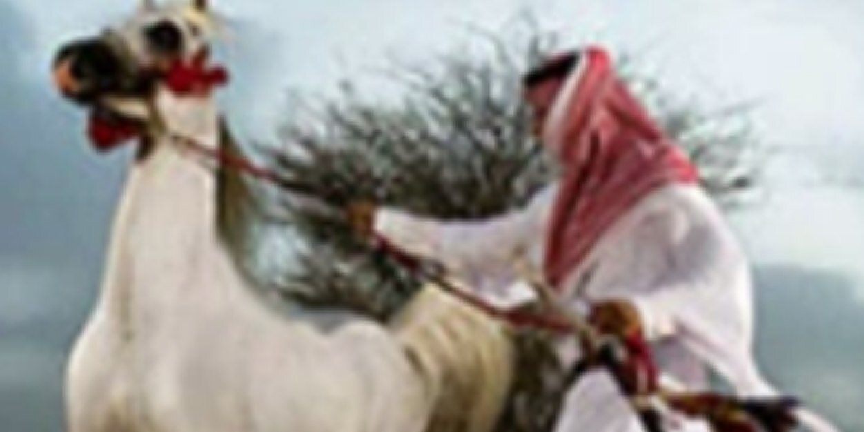 aboorzn's profile banner image