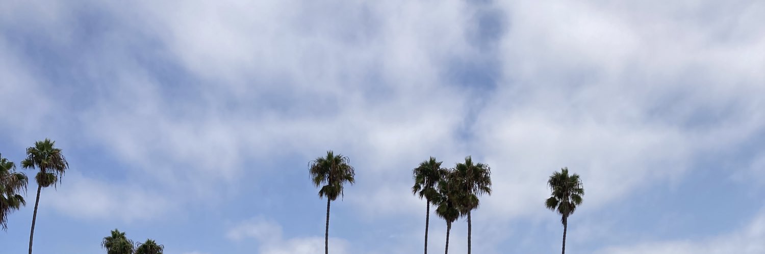 HanRosenblatt's profile banner image