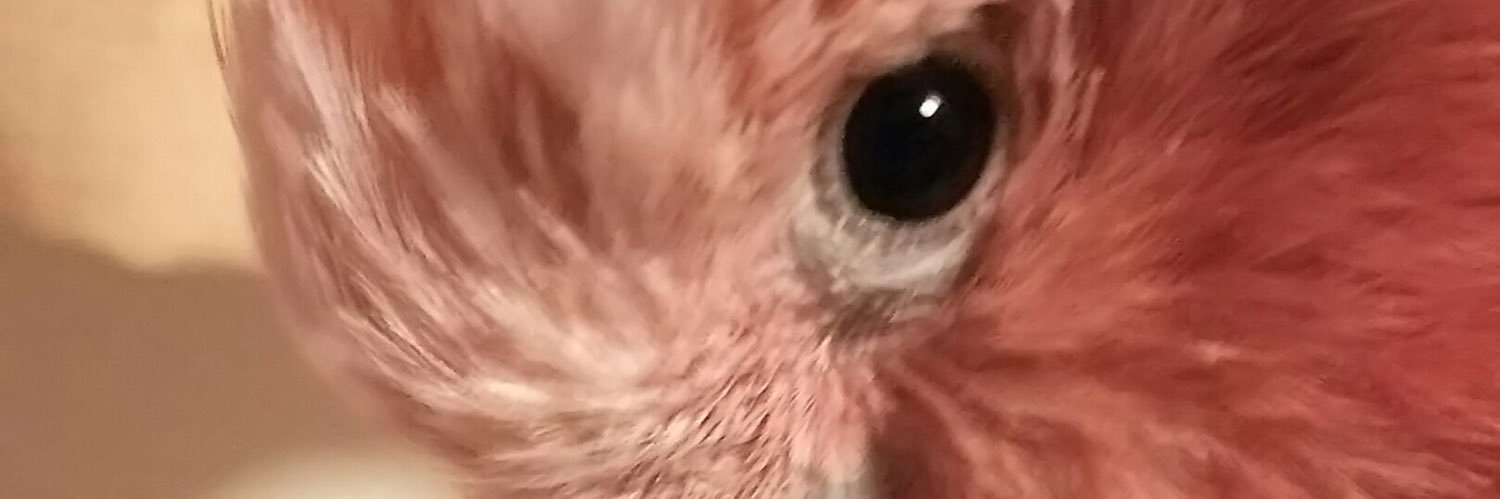 namipe1104's profile banner image