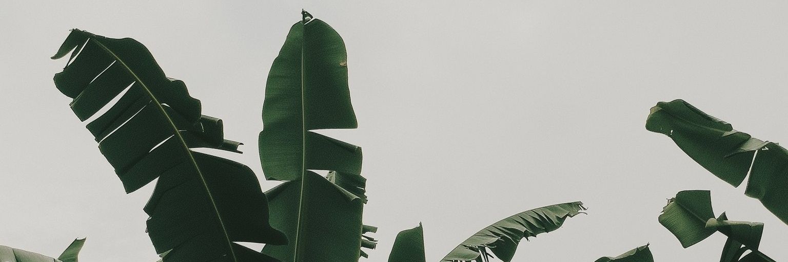 danikhaerul_'s profile banner image