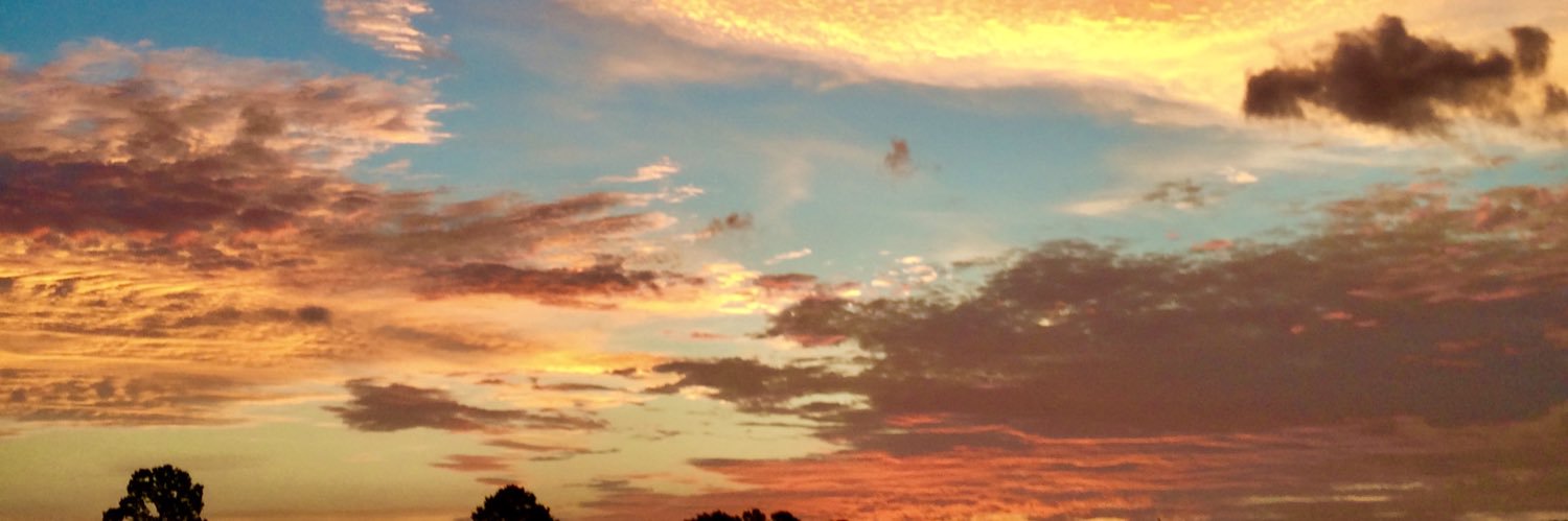 krisscheese's profile banner image